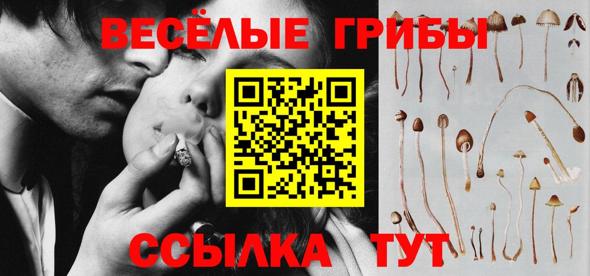 Галлюциногенные грибы мицелий  Галлюциногенные грибы Psilocybine cubensis  Коломна  Вход с VPN 